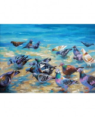 Puzzle 1000 piese Nova - Beach Pigeons (Nova-Puzzle-41089)