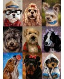 Puzzle 1000 piese Nova - Cute Dogs (Nova-Puzzle-41106)