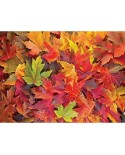 Puzzle 1000 piese Nova - Autumn Leaves (Nova-Puzzle-41156)