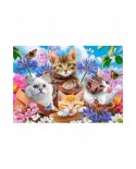 Puzzle 500 piese Castorland - Kittens with Flowers (Castorland-53513)