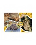 Puzzle 104 piese Clementoni - National Geo - Wildlife Adventure-Supercolor Puzzle (Clementoni-27143)