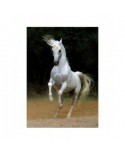 Puzzle 1000 piese D-Toys - Horses:: White Horse (Dtoys-65988)