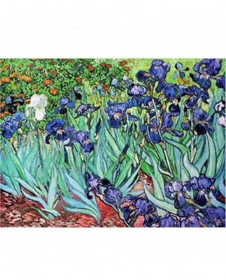 Puzzle 1000 piese D-Toys - Vincent Van Gogh: Iris (Dtoys-70241)