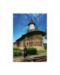 Puzzle 1000 piese D-Toys - Romania: Sucevite Monastery (DToys-70760)