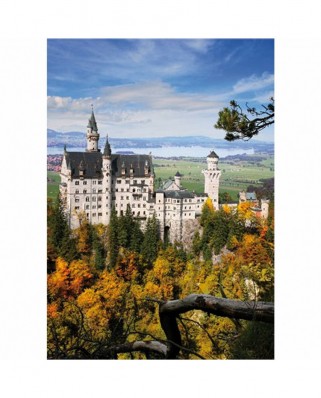 Puzzle 1000 piese D-Toys - Landscapes: Neuschwansstein Castle (DToys-70784)