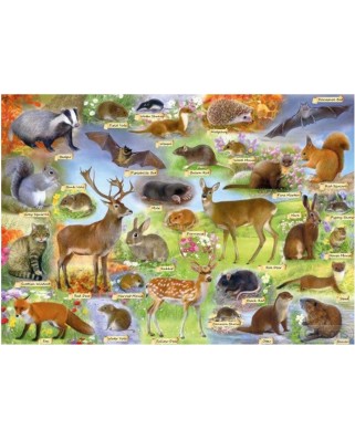 Puzzle 500 piese Gibsons - British Wildlife (Gibsons-G3142)