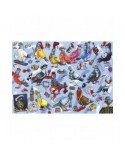 Puzzle 1000 piese Gibsons - Pigeons of Britain (Gibsons-G6607)