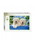 Puzzle 2000 piese Step - Puppies in a Basket (Step-Puzzle-84040)