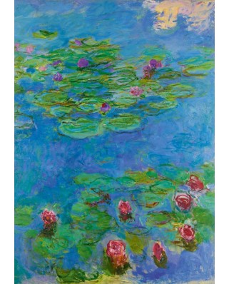 Puzzle 1000 piese Bluebird Puzzle - Claude Monet: Water Lilies, 1917 (Art-by-Bluebird-F-60256)