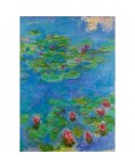 Puzzle 1000 piese Bluebird Puzzle - Claude Monet: Water Lilies, 1917 (Art-by-Bluebird-F-60256)