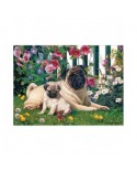 Puzzle 1000 piese Cobble Hill - Pug Family (Cobble-Hill-80132)
