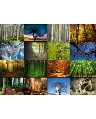 Puzzle 2000 piese Grafika - Collage - Trees (Grafika-F-30066)