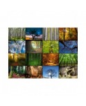 Puzzle 2000 piese Grafika - Collage - Trees (Grafika-F-30066)