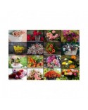 Puzzle 1500 piese Grafika - Collage - Flowers (Grafika-F-30100)
