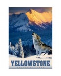 Puzzle 500 piese Alipson Puzzle - Yellowstone Wolf (Alipson-Puzzle-50008)