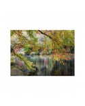 Puzzle 1000 piese Alipson Puzzle - Branches On the Edge of the River (Alipson-Puzzle-50030)