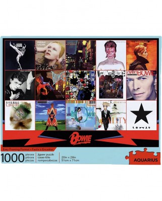 Puzzle 1000 piese Aquarius - David Bowie (Aquarius-Puzzle-65330)