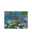 Puzzle 3000 piese Bluebird Puzzle - Claude Monet: Water Lilies (Art-by-Bluebird-60164)