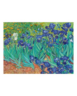 Puzzle 3000 piese Bluebird Puzzle - Vincent Van Gogh: Irises, 1889 (Art-by-Bluebird-60165)