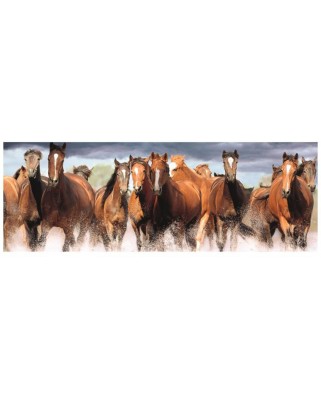 Puzzle 150 piese XXL panoramic Dino - Horses in the Water (Dino-39334)