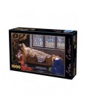 Puzzle 1000 piese D-Toys - John Collier: The Sleeping Beauty (Dtoys-73822)