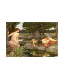 Puzzle 1000 piese D-Toys - John William Waterhouse: Echo and Narcissus (Dtoys-75048)