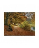 Puzzle 1000 piese D-Toys - Brendekilde Hans Andersen: A Wooded Path in Autumn (Dtoys-75093)