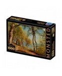Puzzle 1000 piese D-Toys - Peder Mork Monsted: Birch Trees at a Coast (Dtoys-77417)