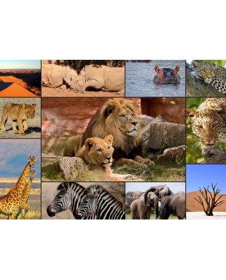Puzzle 1500 piese Grafika - Collage - Wildlife (Grafika-F-30026)