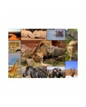 Puzzle 1500 piese Grafika - Collage - Wildlife (Grafika-F-30026)
