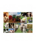 Puzzle 1500 piese Grafika - Collage - Farmyard Animals (Grafika-F-30027)