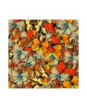 Puzzle 1000 piese Grafika - Butterflies Butterflies Butterflies! (Grafika-T-02292)