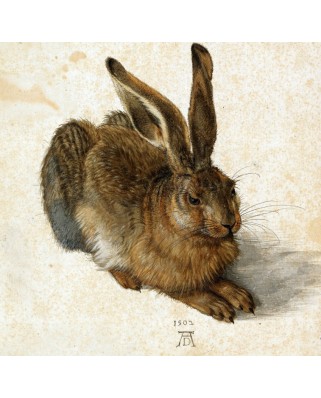 Puzzle 1000 piese Grafika - Albrecht Durer: Albrecht Durer - The Rabbit, 1502 (Grafika-T-02340)