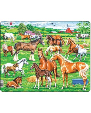 Puzzle 33 piese Larsen - Beautiful horses (Larsen-FH50)