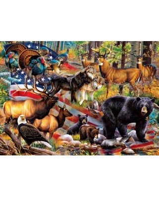 Puzzle 1000 piese Master Pieces - This Land is Your Land (Master-Pieces-72297)