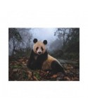 Puzzle 1000 piese New York Puzzle Company - Giant Panda (New-York-Puzzle-NG1985)