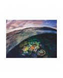 Puzzle 1000 piese New York Puzzle Company - Great Barrier Reef (New-York-Puzzle-NG1989)