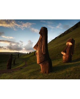 Puzzle 1000 piese New York Puzzle Company - Rapa Nui Easter Island (New-York-Puzzle-NG2024)
