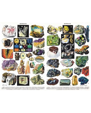 Puzzle 1000 piese New York Puzzle Company - Minerals - Mineraux (New-York-Puzzle-PD1977)