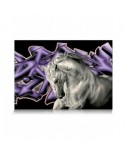 Puzzle 1000 piese Star Puzzle - White Horse (Star-Puzzle-0523)