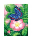 Puzzle 1000 piese SunsOut - Blue Butterfly (Sunsout-48218)