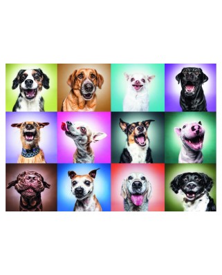 Puzzle 1000 piese Trefl - Funny Dogs (Trefl-Prime-10706)