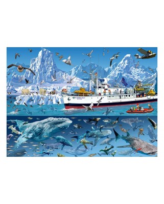 Puzzle 1500 piese Bluebird Puzzle - Francois Ruyer: Arctic - Bluebird Boat (Bluebird-Puzzle-F-90038)