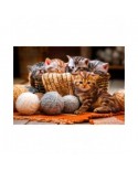 Puzzle 1000 piese Bluebird Puzzle - Kittens in Basket (Bluebird-Puzzle-F-90264)