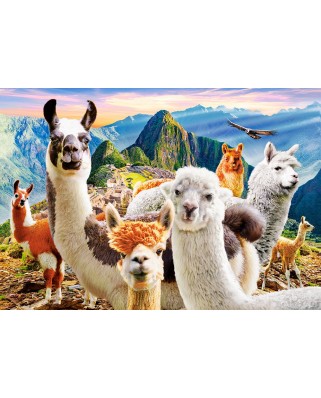 Puzzle 1000 piese Castorland - Llamas Selfie (Castorland-104758)