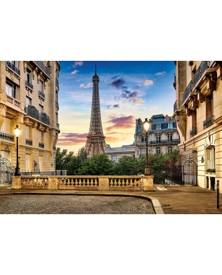 Puzzle 1000 piese Castorland - Walk in Paris at Sunset (Castorland-104925)