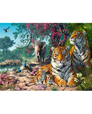 Puzzle 3000 piese Castorland - The Tiger Sanctuary (Castorland-300600)