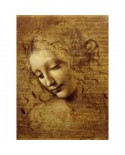 Puzzle 2000 piese Grafika - Leonardo Da Vinci: The Face of Giovane Fanciulla, 1508 (Grafika-F-30337)