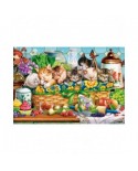 Puzzle 1000 piese Castorland - Napping Kittens (Castorland-105069)