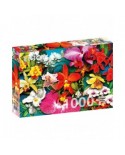 Puzzle 1000 piese ENJOY - Orchid Jungle (Enjoy-2033)